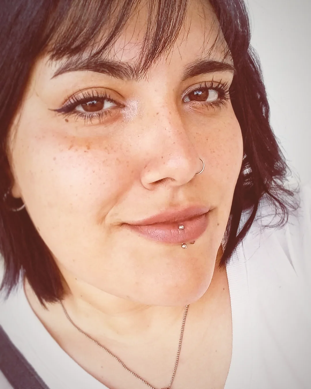 Paloma  - ID: 385056